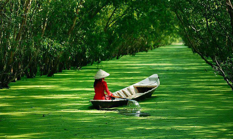 Sài Gòn Đảo Bà Lụa Rừng Tràm 2 Ngày 2 Đêm | Art Travel