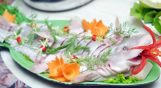 Cảm nhận hương vị biển rất riêng chỉ có qua món gỏi cá nhám Côn Đảo