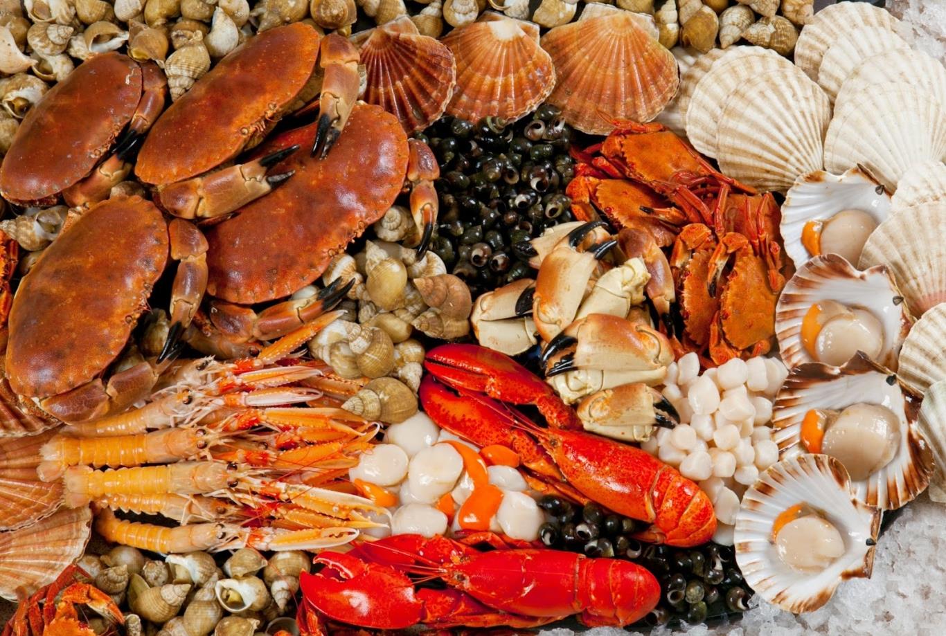 Du ngoạn ẩm thực Côn Đảo-ẩm thực mang hương vị biển đến với ta